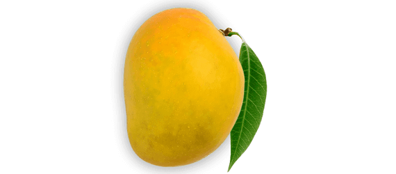 Duplicate Mango - prajaagro.com